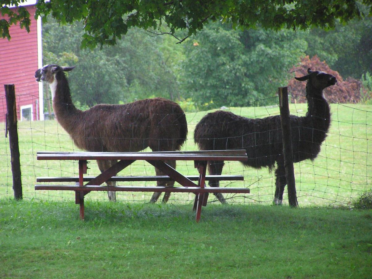 Maple Hill Farm Inn ออกัสตา ภายนอก รูปภาพ